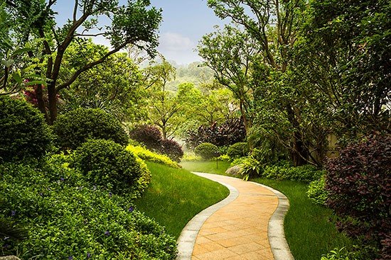 “IM电竞官网”
青犀视频高清RTMP推流摄像机常见问题解答(图4) IM电竞官网