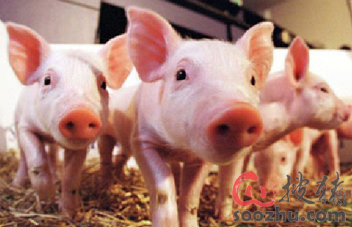 西甲-门框救险贝尔破门越位 半场皇马0-1埃瓦尔【IM电竞】(图1) IM电竞平台