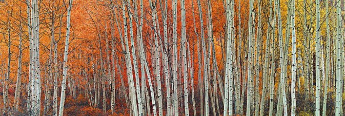 公开支持又怎样?称北约敢帮忙俄军也出兵:不许无缘无故欺负人!电_IM电竞(图1) IM电竞官网