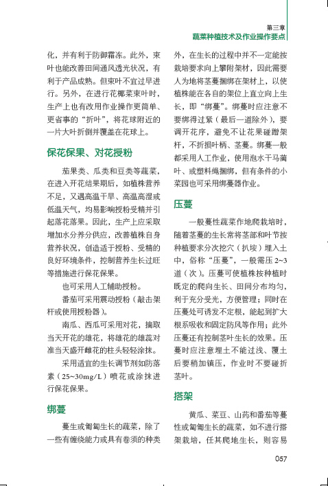贝利轻视梅西只会左脚!直接表示他不配跟自己相提并论:IM电竞(图1) IM电竞官网