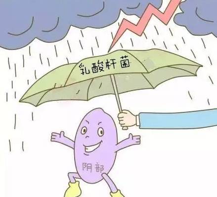 巴西总统回应梅西炮轰:哈哈 那是足球运动员的表演:IM电竞平台(图4) IM电竞